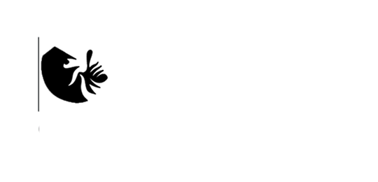 Đối tác 1