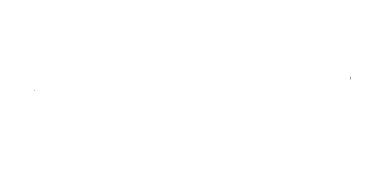 Đối tác 2